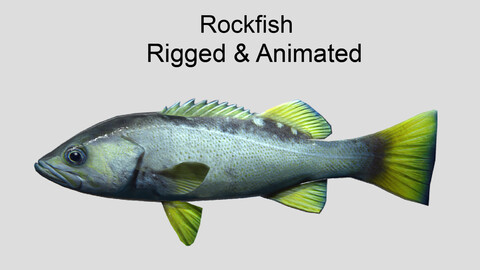 rockfish