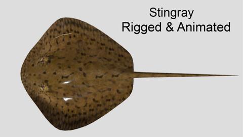 Stingray