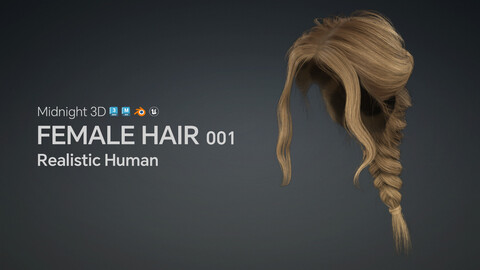 M3D Realistic Female Hair 001