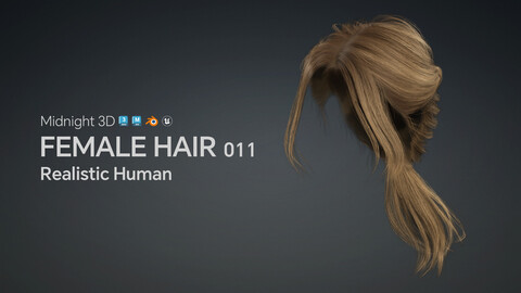 M3D Realistic Female Hair 011