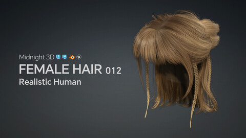 M3D Realistic Female Hair 012