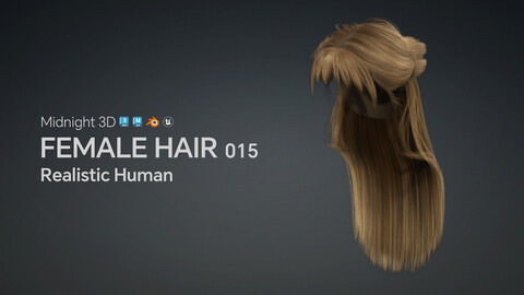 M3D Realistic Female Hair 015