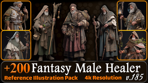 200 Fantasy Male Healer Reference Pack | 4K | v.185