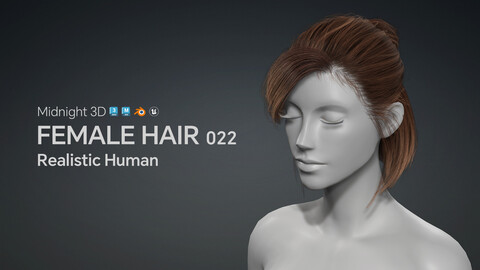 M3D Realistic Female Hair 022