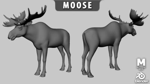 Moose Basemesh  - Topology + UV Map