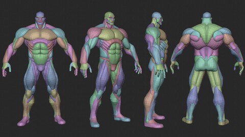 Muscular Guy Anatomy Blockout