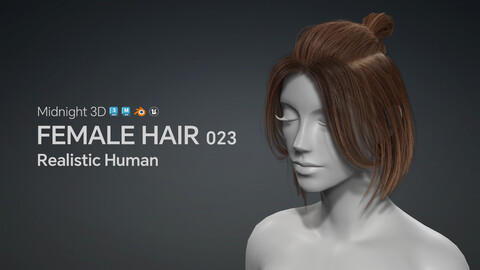 M3D Realistic Female Hair 023