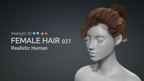 M3D Realistic Female Hair 027