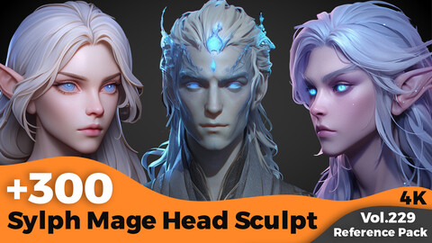 +300 Sylph Mage Head Sculpt Reference (4k)