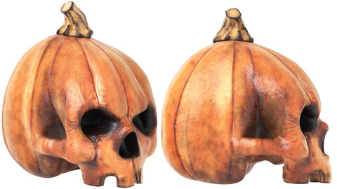 pumpkin skull head halloween