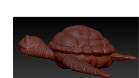 Turtle 3dmodel