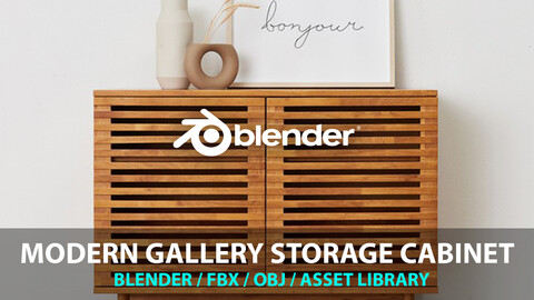 Modern Gallery Storage Cabinet