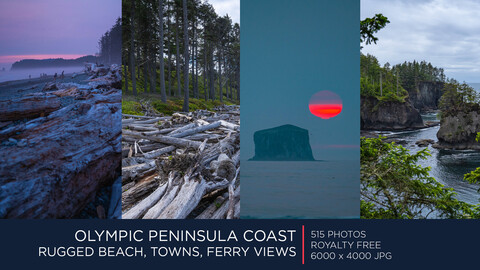 OLYMPIC PENINSULA COAST | PHOTOPACK