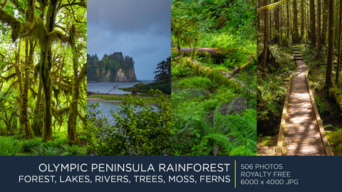 OLYMPIC PENINSULA RAINFOREST | PHOTOPACK