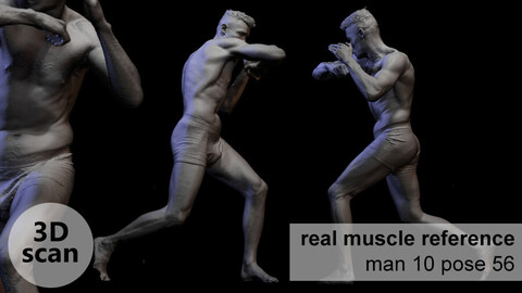 3D scan real muscle anatomy Man 10 pose 56