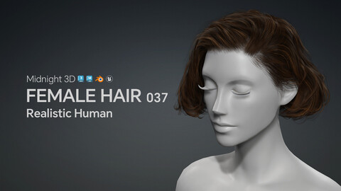 M3D Realistic Female Hair 037