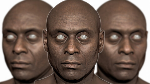 Lance Reddick - Likeness sculpt