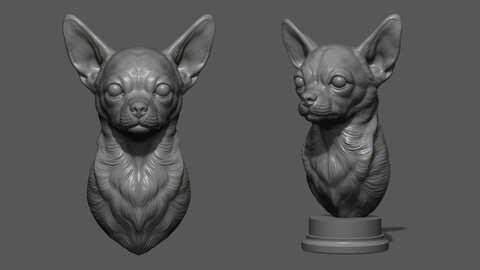 Chihuahua bust