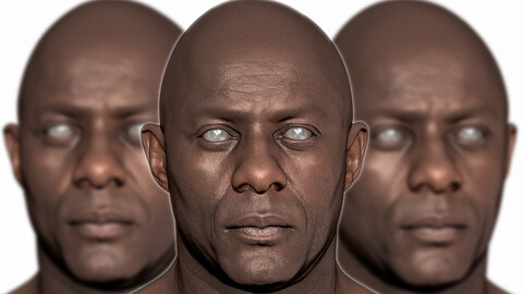 Idris Elba - Likeness sculpt