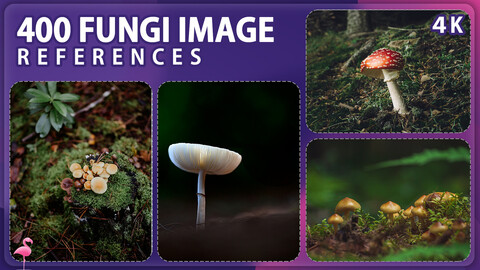 400 Fungi Reference Pack – Vol 1