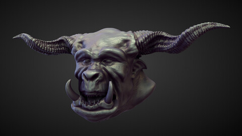 HEAD60 high poly sculpt