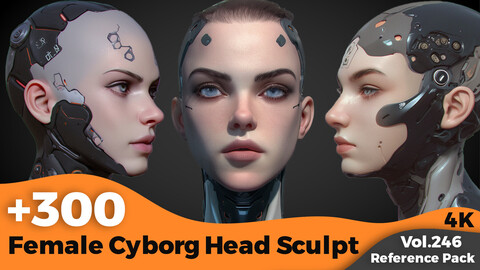 +300 Female Cyborg Head Sculpt Reference(4k)