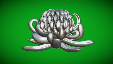 Chrysanthemum Incurve 3D Floral Model