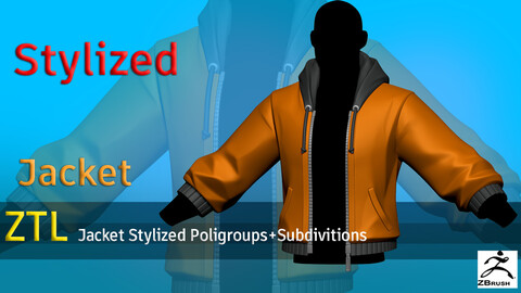 Stylized Jacket 3 ZTL