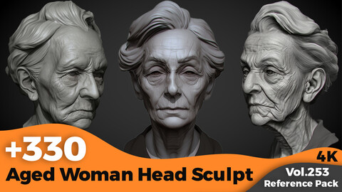 +300 Aged Woman Head Sculpt(4k)