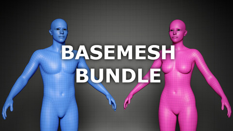 Ultimate Male And Female Basemesh Bundle