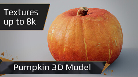 Pumpkin for Halloween - Squash 3D model