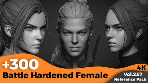 +300 Battle Hardened Female Head Sculpt(4k)