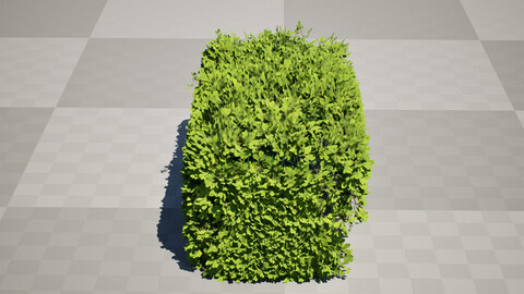 Windswept Procedural Bush