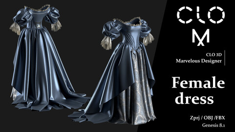 Female dress / Marvelous Designer/Clo3D project file + OBJ, FBX