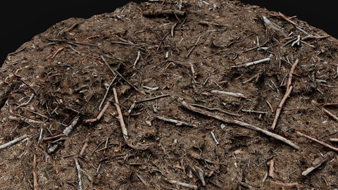 forest ground broken branches wood debris photogrammetry