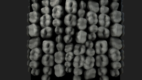 Teeth Generator