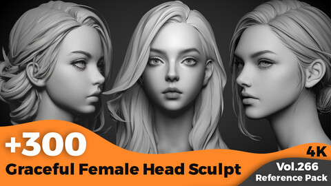 +300 Graceful Female Head Sculpt(4k)