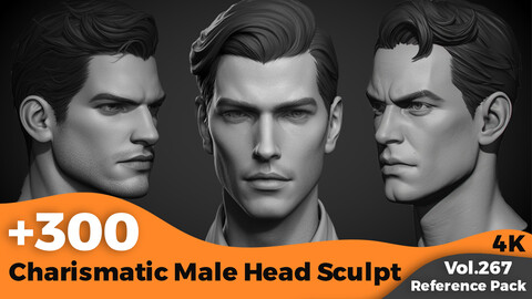 +300 Charismatic Male Head Sculpt(4k)