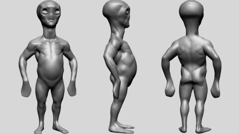 Creature Body Form D