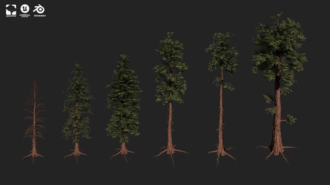 RED WOOD TREE PACK