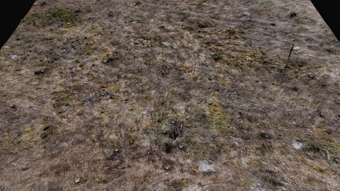 forest ground grass area wood debris photogrammetry