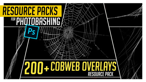 PHOTOBASH 200+ Spider Web Overlays Resource Pack Photos for Photobashing in Photoshop