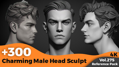 +300 Charming Male Head Sculpt(4k)