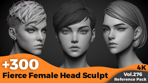 +300 Fierce Female Head Sculpt(4k)