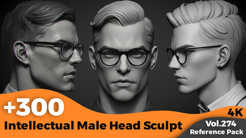 +300 Intellectual Male Head Sculpt(4k)