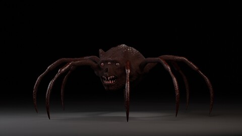 Arin- Spider Fantasy Character