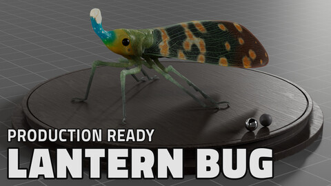 Lantern Bug Insect Model