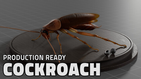 Cockroach Insect Model