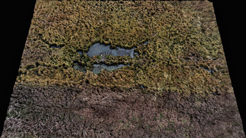 forest ground swamp grass fields area drone photogrammetry