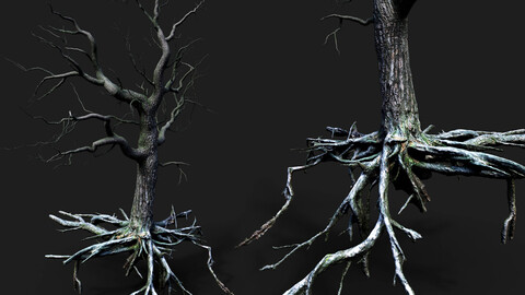 tree pine roots photogrammetry & branches model